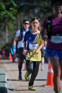 BIB: 1249, 3294
                            <button type="button" onclick="openModal(19222630)" class="btn btn-primary btn-sm float-right btn-popup" data-toggle="modal" data-target=".modal-high-quality">
                        <i class="fas fa-shopping-cart"></i> Add to Cart
                    </button>
                                            <button type="button" onclick="isThisMe(19222630, true)" class="btn btn-success btn-sm float-right btn-popup btn-isme hidden" data-toggle="tooltip" data-placement="bottom" title="นี่คือรูปของคุณใช่ไหม คลิกที่นี่เพื่อเอาเข้าอัลบั้ม">
                        <i class="fas fa-plus"></i> Add to album
                    </button>
                    <button type="button" onclick="isThisMe(19222630, false)" class="btn btn-warning btn-sm float-right btn-popup btn-isnotme hidden">
                        <i class="fas fa-ban"></i> Remove from album
                    </button>